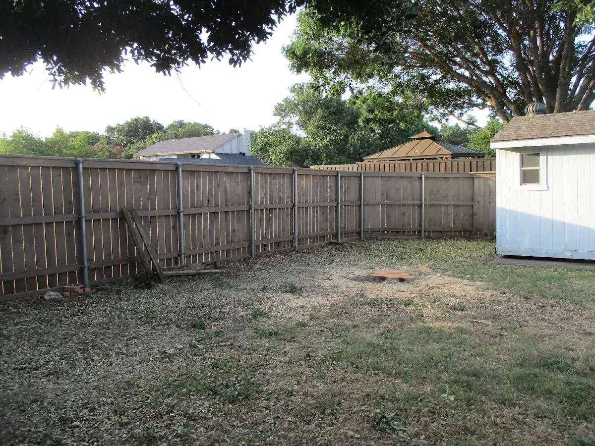 Cleared yard after professional tree removal in Silver Bay